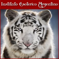 Curso Online de Empoderamiento del Tigre Blanco