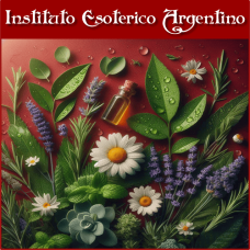 Curso Online de Aroma Reiki