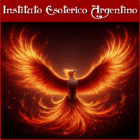 Curso Online de Conexión con el Ave Fénix