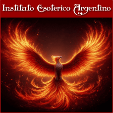Curso Online de Conexión con el Ave Fénix