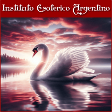 Curso Online de Conexión la Belleza del Cisne