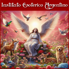 Curso Online de Empoderamiento del Poder de Conexión Animal del Angel Yvonne