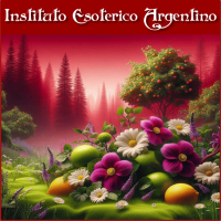 Curso Online de Empoderamiento de Defensas de Flores Sabias