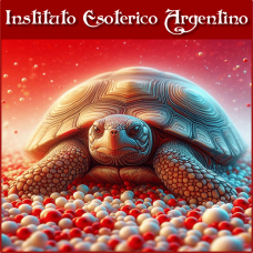 Curso Online de Empoderamiento de la Tortuga