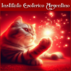 Curso Online de Felidomancia