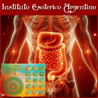 Curso Online de Mesa Radionica del Sistema Digestivo 1 