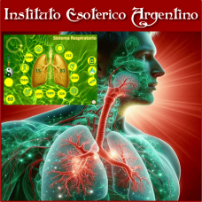 Curso Online de Mesa Radiónica Sistema Respiratorio