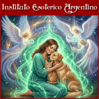 Curso Online de Registros Akashicos Angelicos para Mascotas