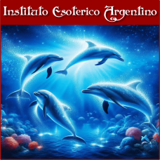 Curso Online de Vibración Delfín Diamante 