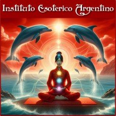 Curso Online de Sistema Delfinico de Sanación y Equilibrio