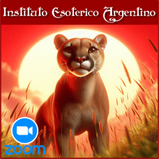 Curso por Zoom de Empoderamiento del Puma