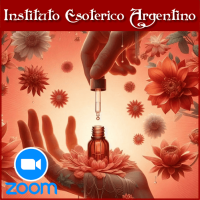 Curso por Zoom de Reiki con Flores de Bach