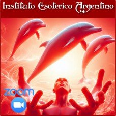 Curso por Zoom de Sistema Delfinico de Sanación y Equilibrio